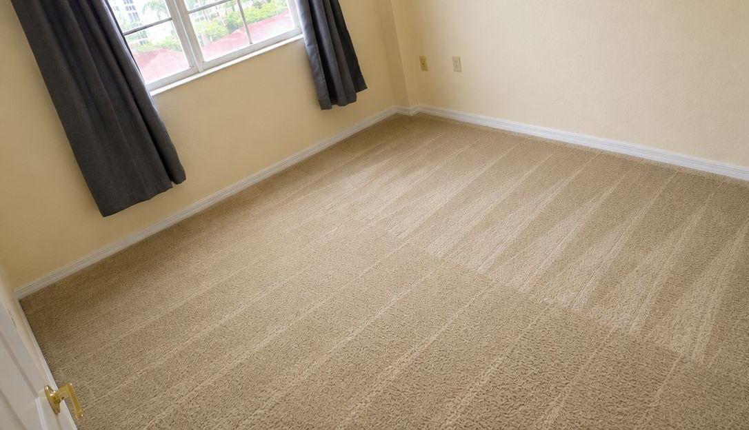 Clean carpet in a room after Gary’s cleaning service